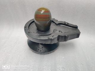 Black And Brown Shivling 