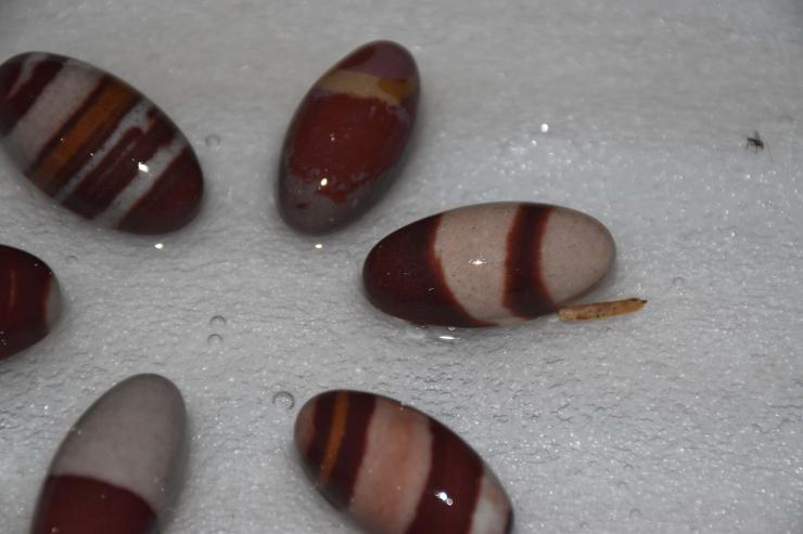 Narmadeshwar Shivling