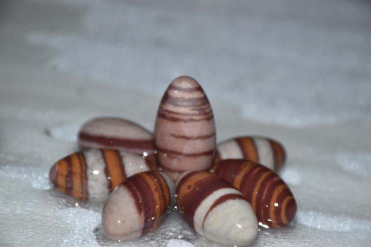 Narmadeshwar Shivling