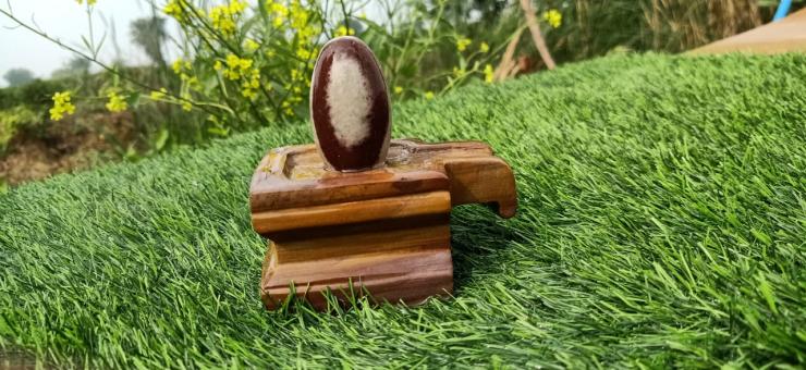 Narmadeshwar Stone Shiva Lingam Square Jaladhari 