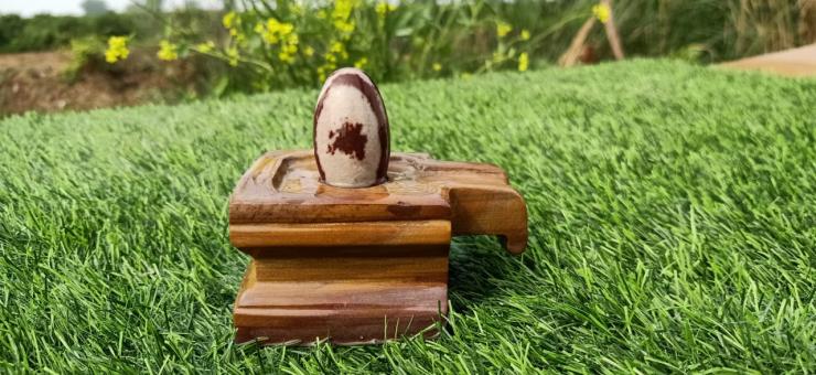 Narmadeshwar Shivling Square