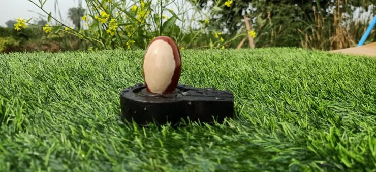 Narmadeshwar Shivling Plain Jaldhari