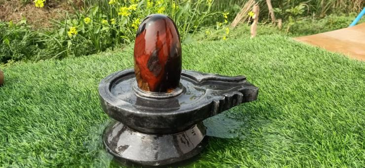 Narmadeshwar Shivling