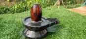 Narmadeshwar Shivling Damru Shape Jaldhari