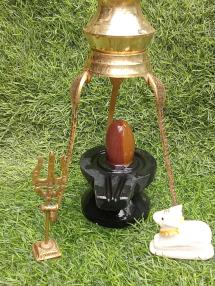 Ardhanareshwar Narmada Shivling
