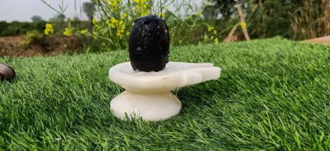 Narmadeshwar Shivling Black Damru Shape Jaldhari White