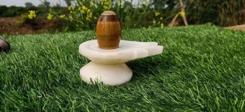 Narmadeshwar Different Color Shivling And White Damru Shape Jaldhari
