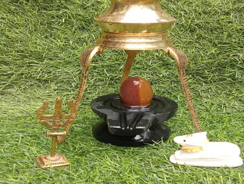 Ardhanareshwar Narmada Shivling