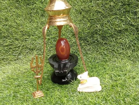 Suryaakrati Narmadeshwar Shivling